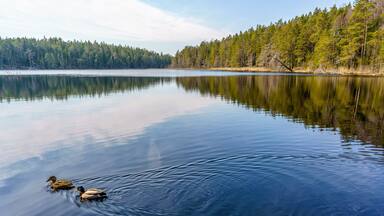 Tyresö Ö