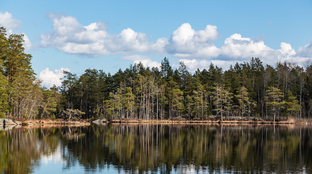 Beautiful Scandinavian nature. Tyresta National Park. Sweden
