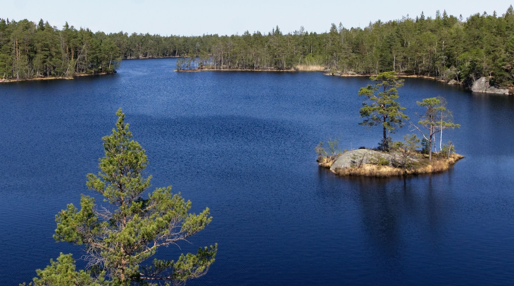 Lakeside in the Tyresta By National Park in Sweden