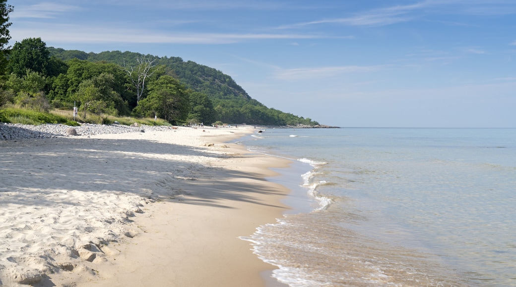 Stenshuvud 國家公園