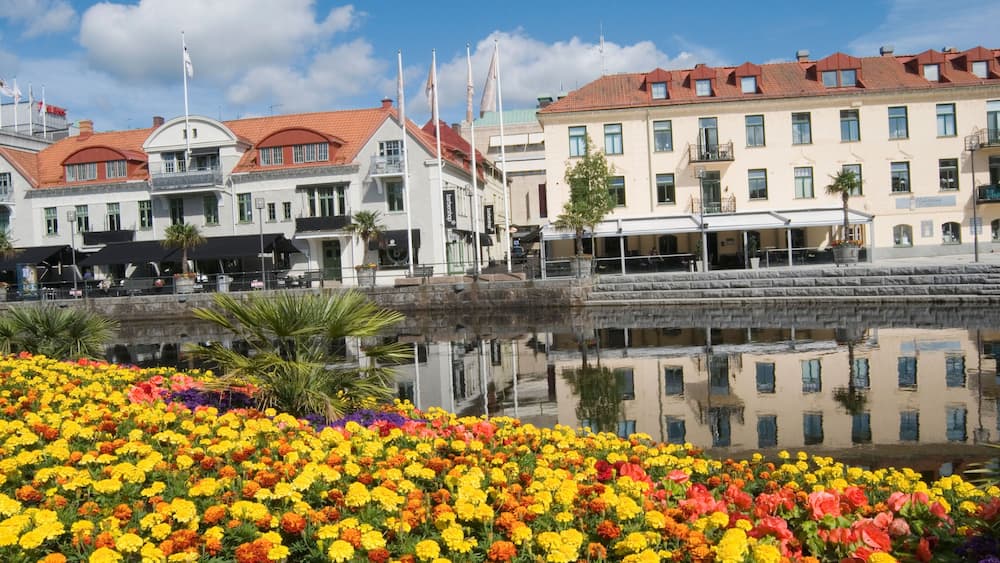 A waterfront with colorful flowers and historic buildings.