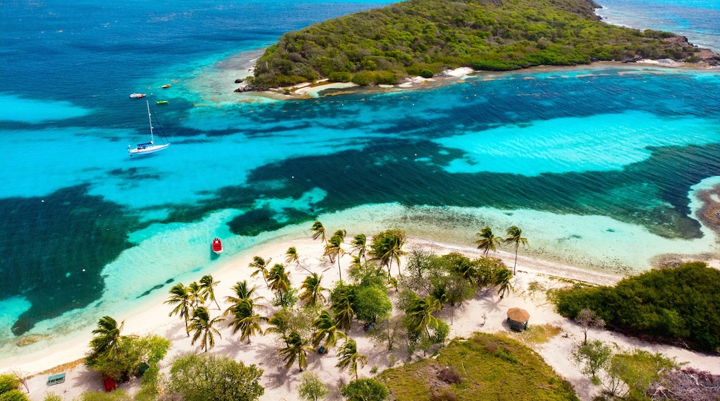 Top view of Tobago cays