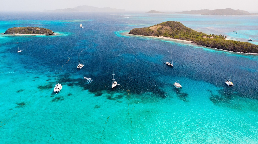 Top view of Tobago cays