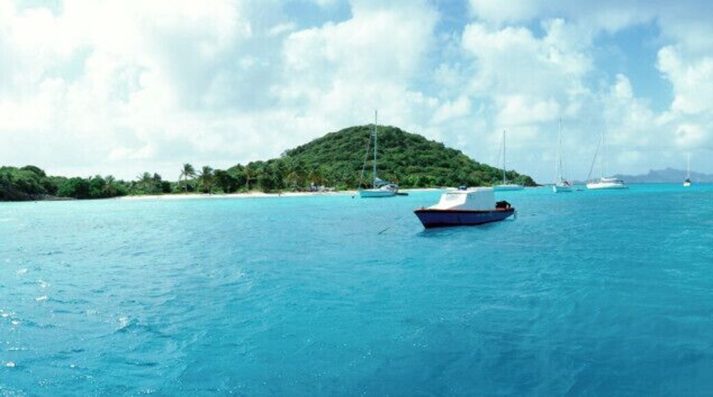 Tobago Cays