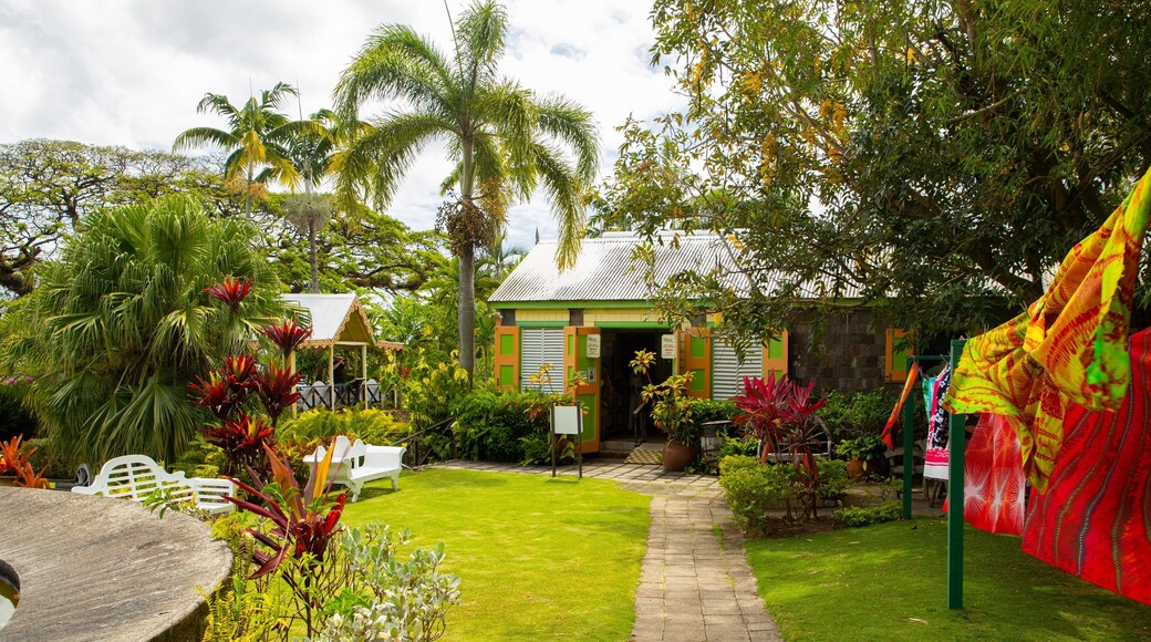 Romney Manor which includes a garden