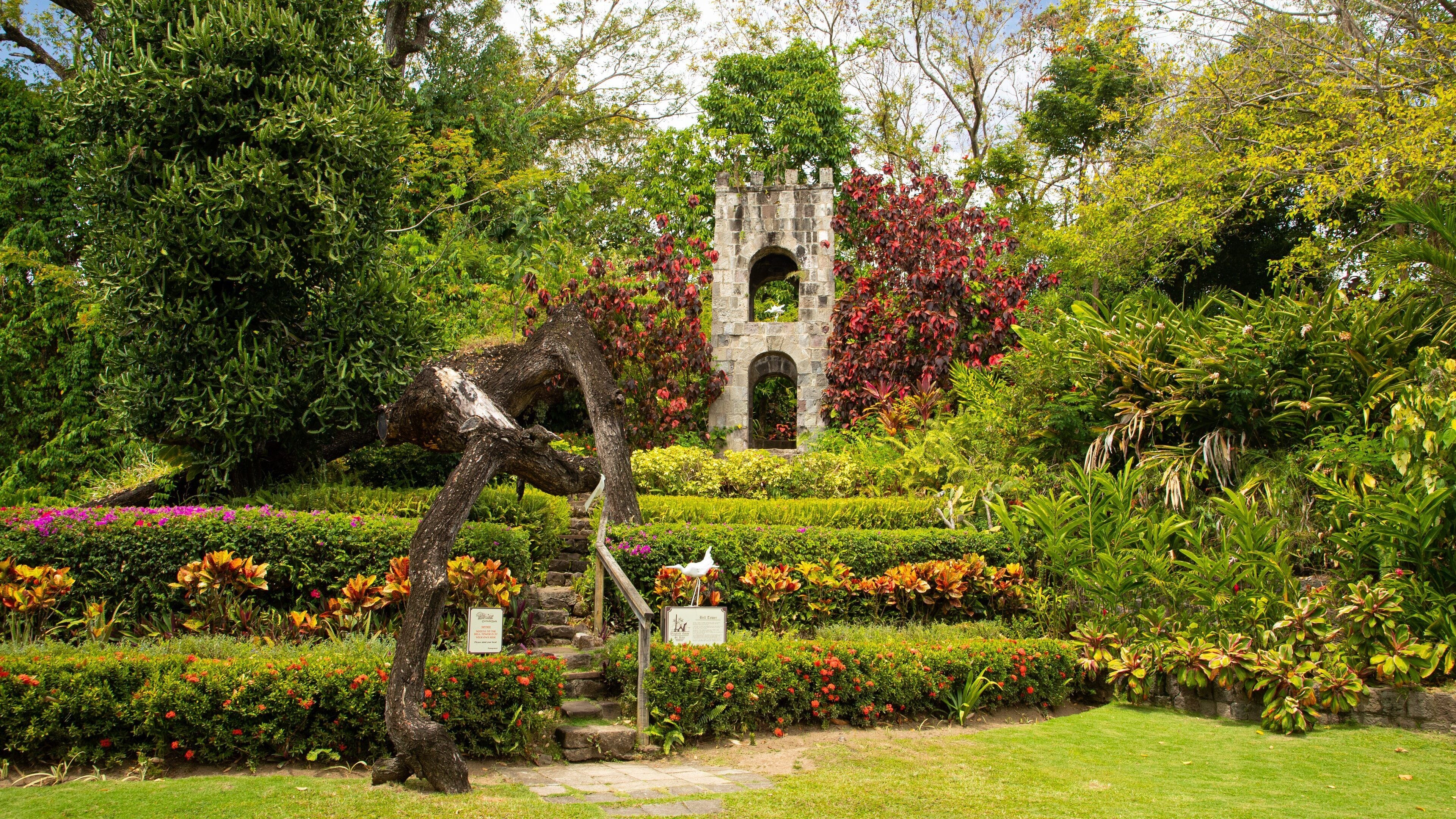 Romney Manor which includes a park and wildflowers
