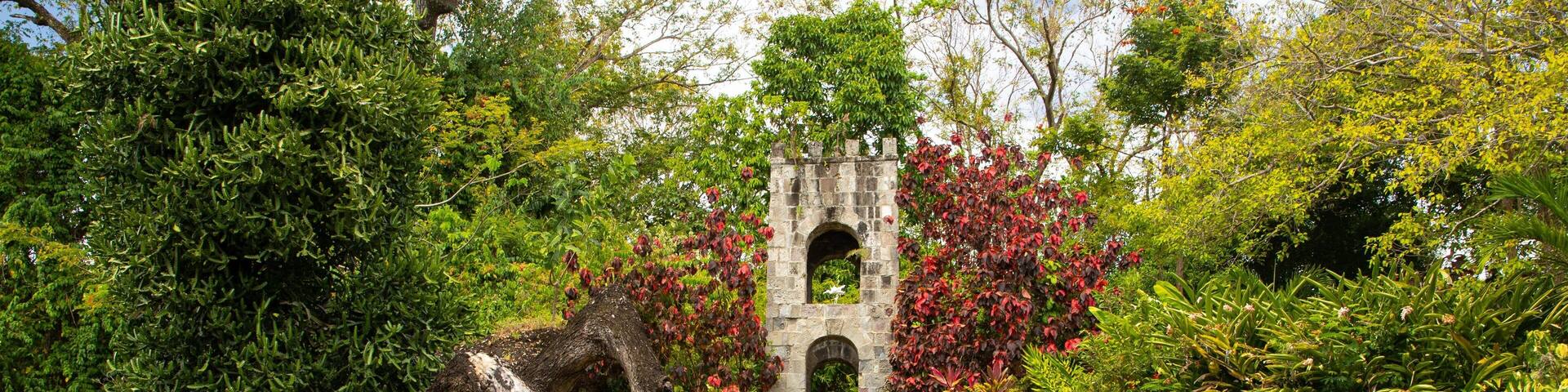 Romney Manor which includes a park and wildflowers