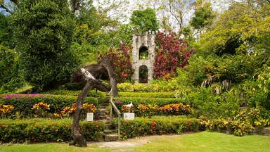 Romney Manor which includes a park and wildflowers