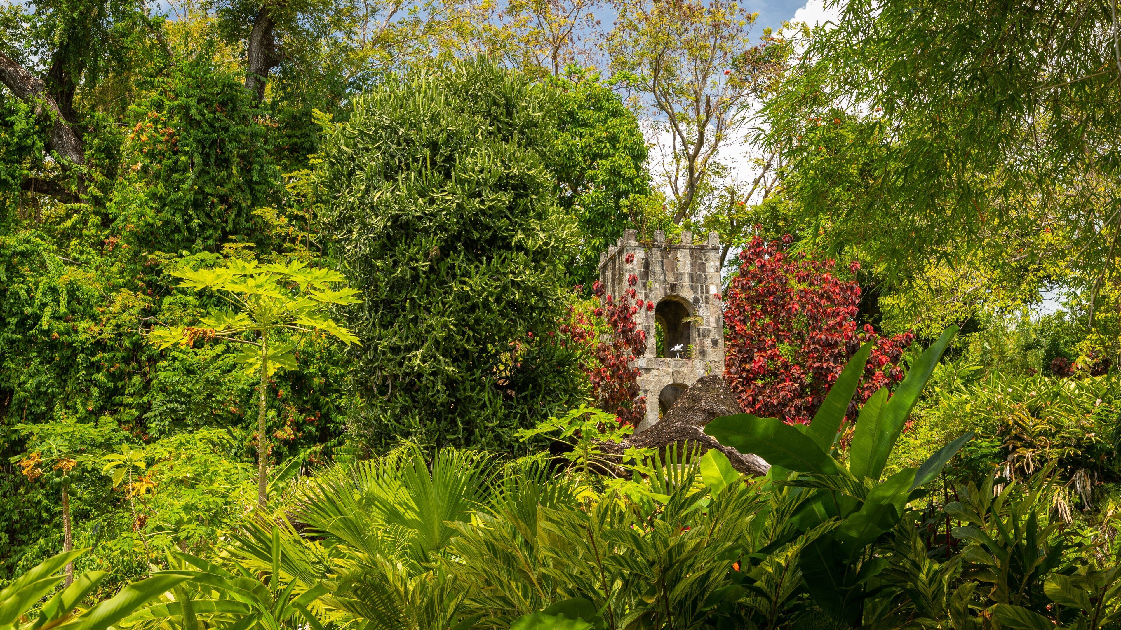 Romney Manor featuring a park and forest scenes