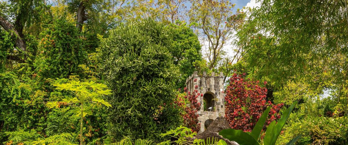 Romney Manor featuring a park and forest scenes