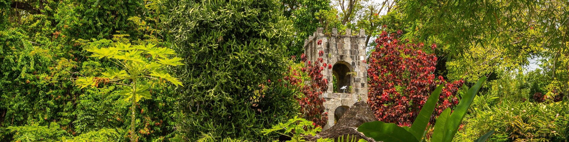 Romney Manor featuring a park and forest scenes