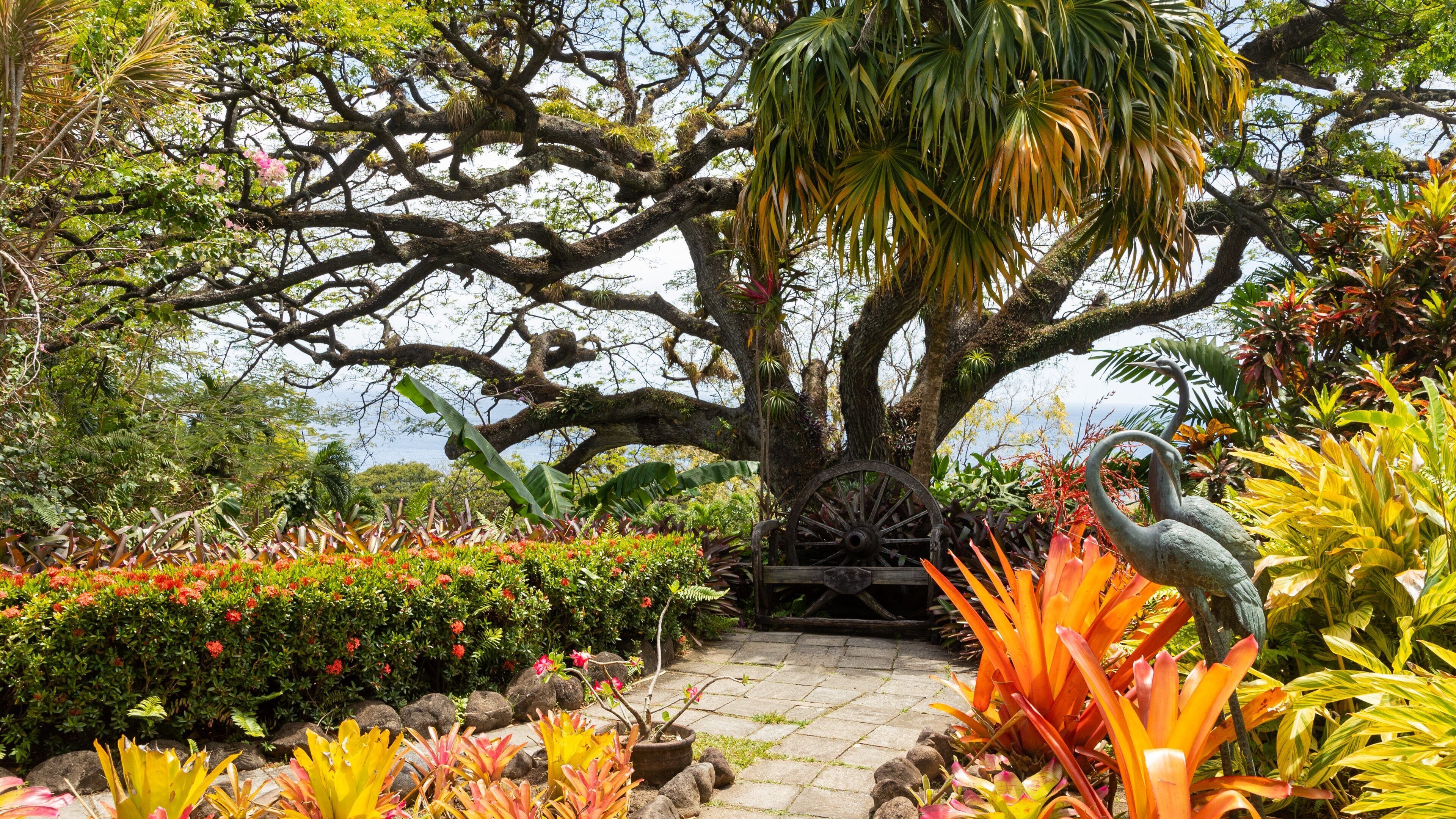 Romney Manor showing a garden and wildflowers