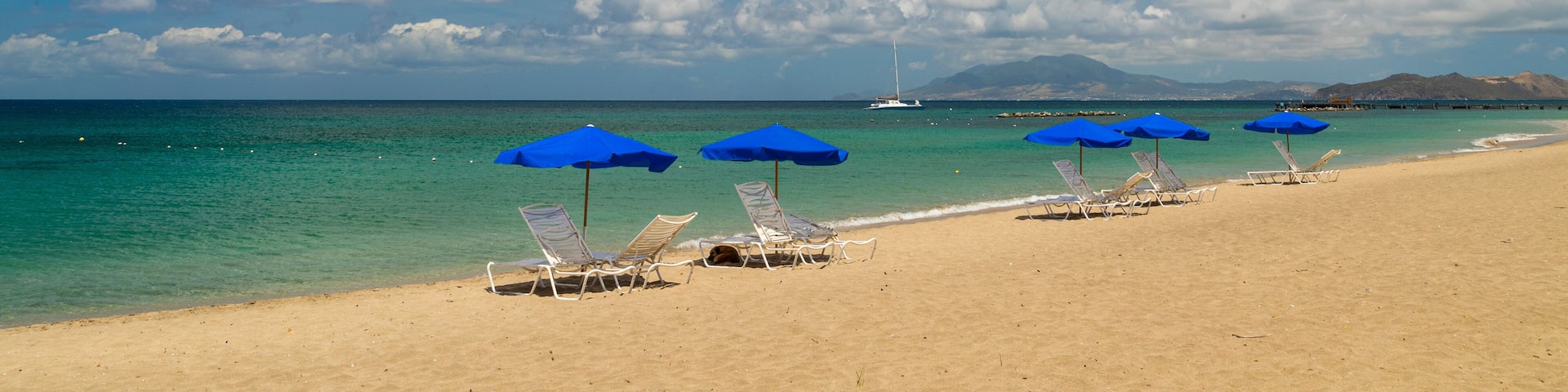 Pinney\'s Beach which includes general coastal views and a sandy beach