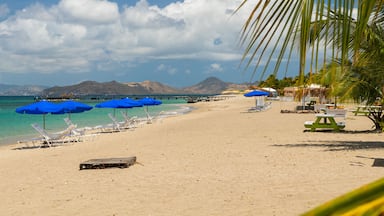 A beach with blue umbrellas, white lounge chairs, and a pier in the background.