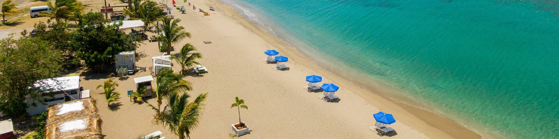 A beach with clear turquoise waters, palm trees, and beach umbrellas.