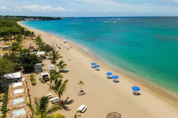 Une plage aux eaux turquoise et limpides, bordée de palmiers et parsemée de parasols.