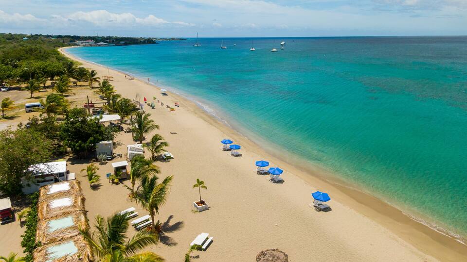 A beach with clear turquoise waters, palm trees, and beach umbrellas.