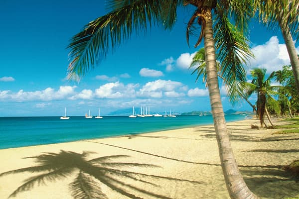 A beach with palm trees, clear blue water, and sailboats.