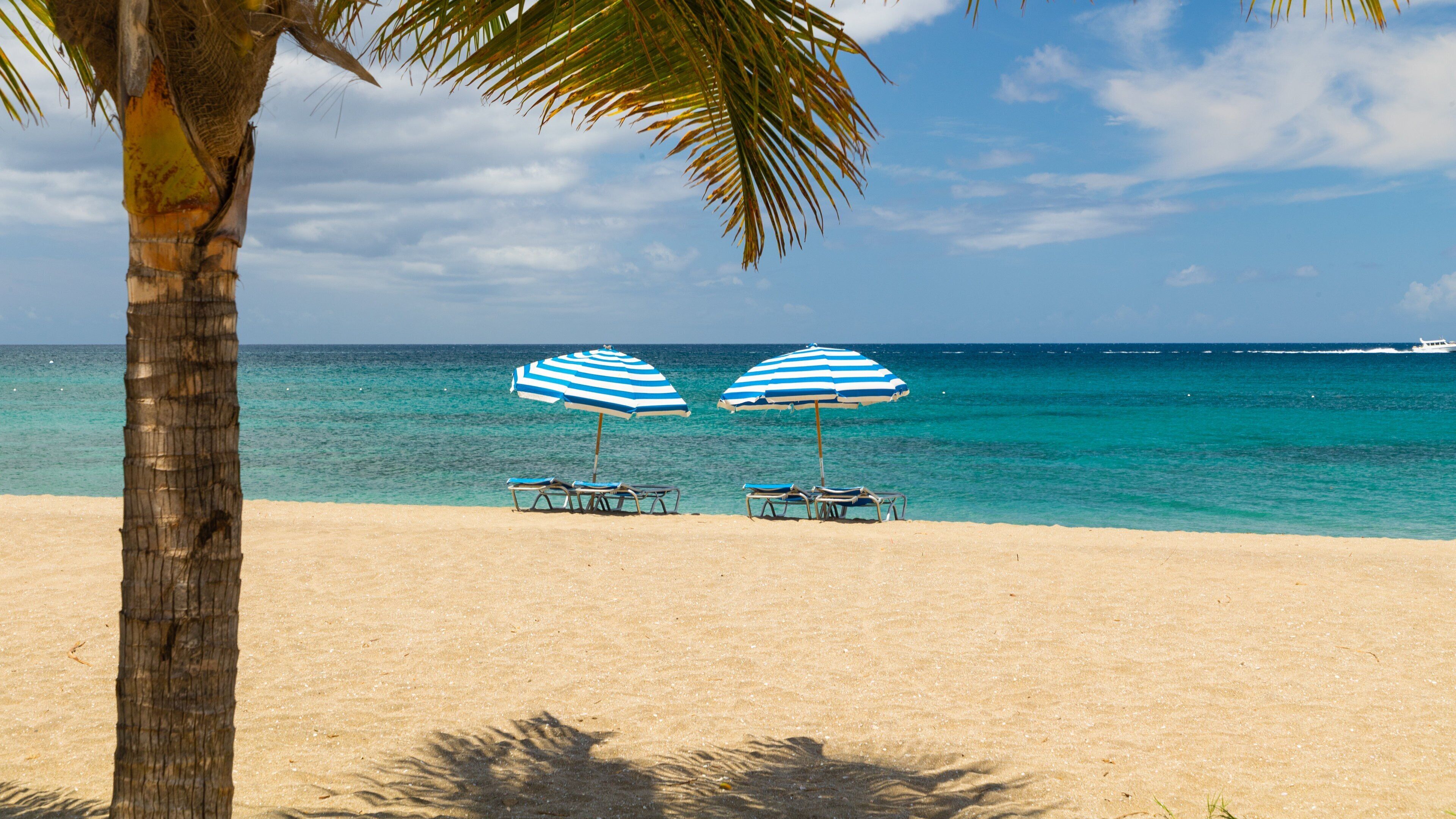 Pinney\'s Beach which includes tropical scenes, a beach and general coastal views