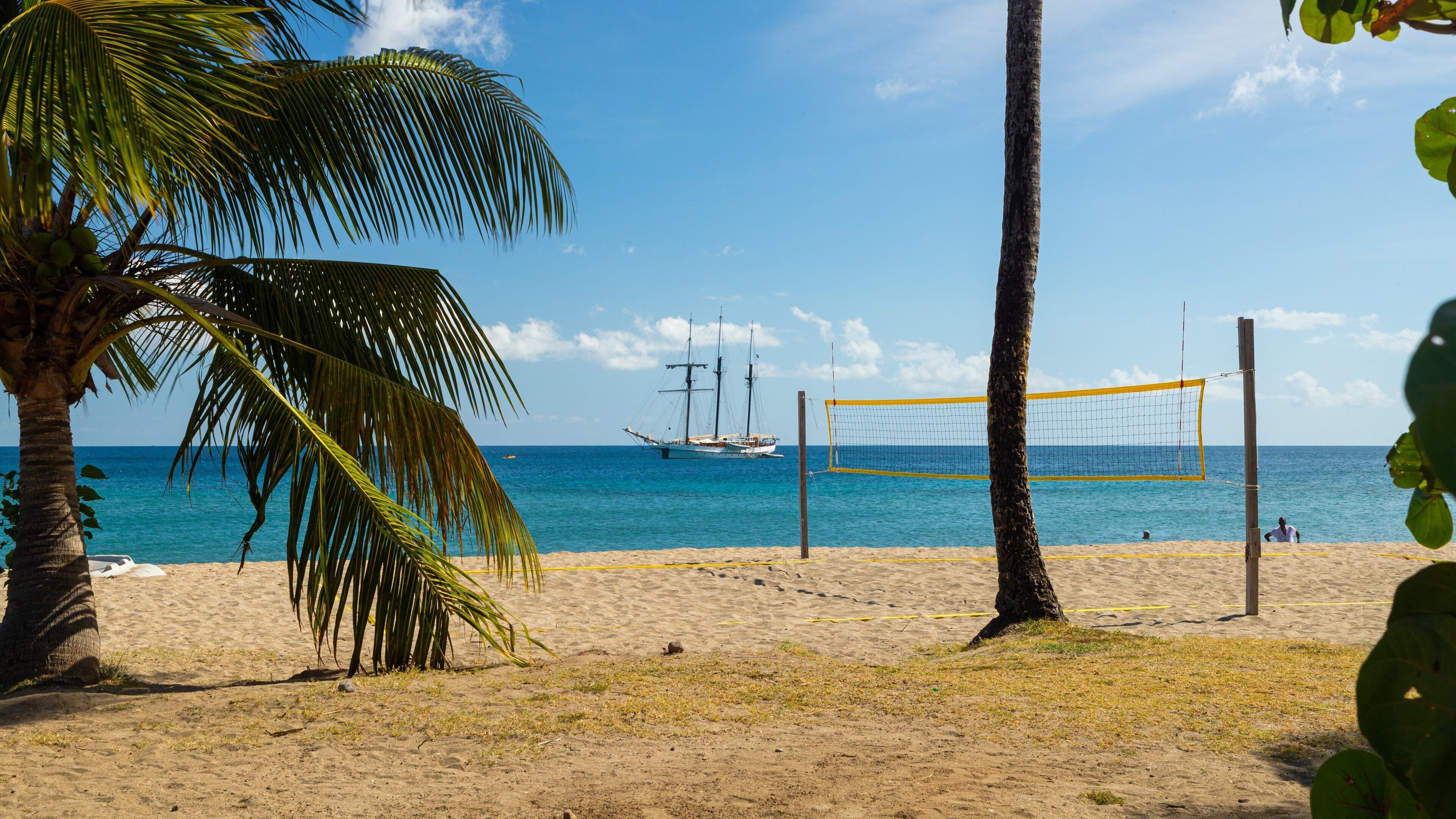 A beach volleyball net, palm trees, and a sailboat in the background.