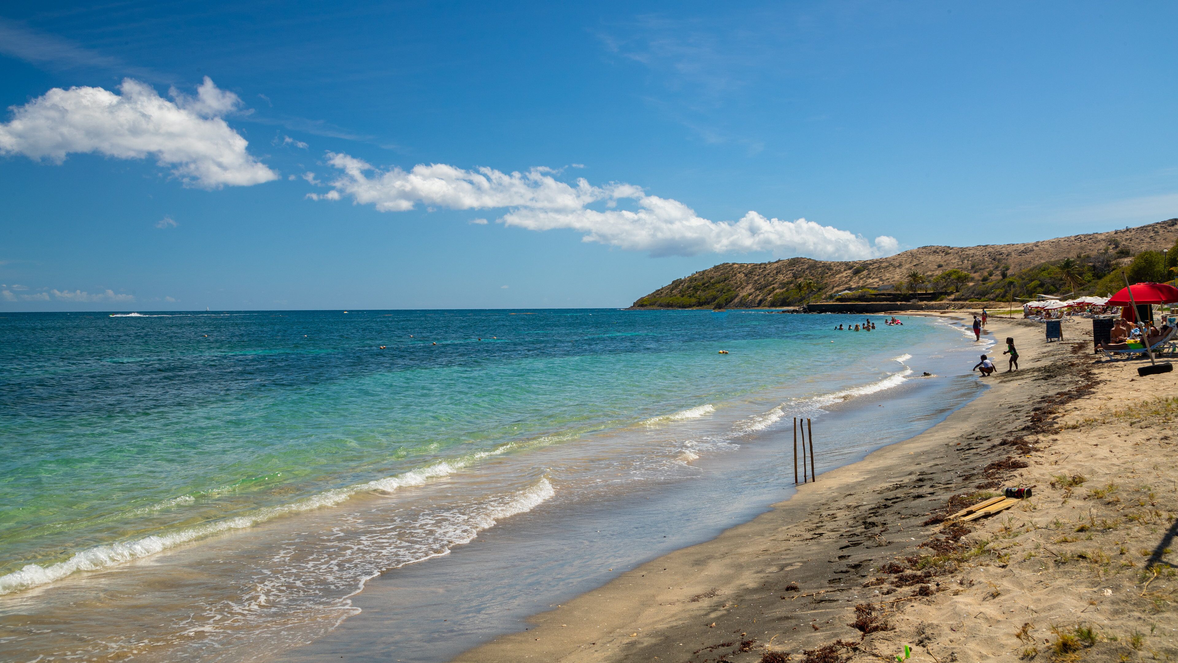 Cockleshell Bay showing general coastal views