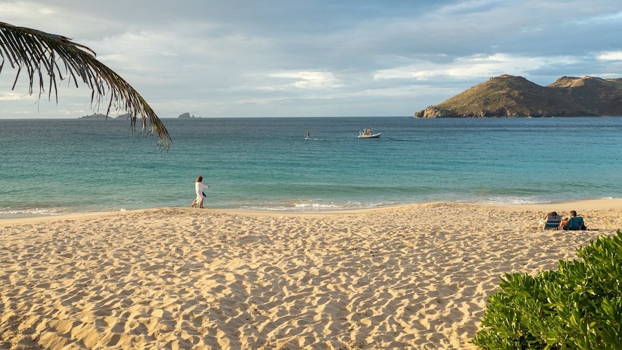 Flamands Beach showing general coastal views, tropical scenes and a sandy beach