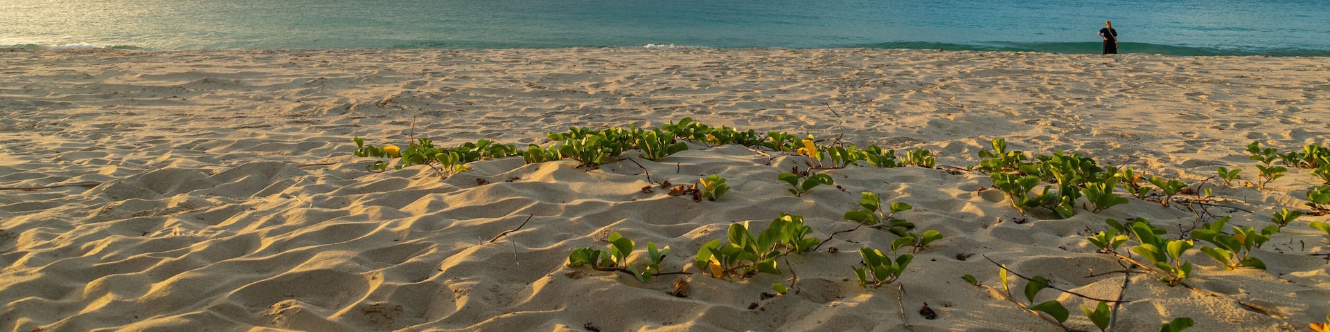 Flamands Beach showing a sandy beach, a sunset and general coastal views
