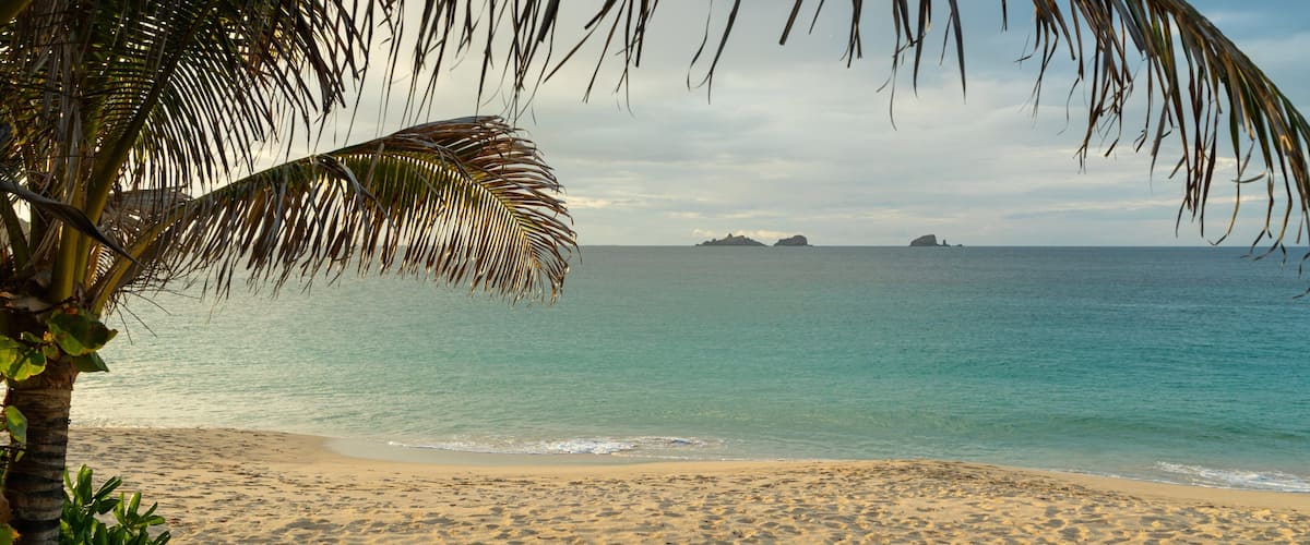 Flamands Beach which includes a sandy beach, tropical scenes and general coastal views
