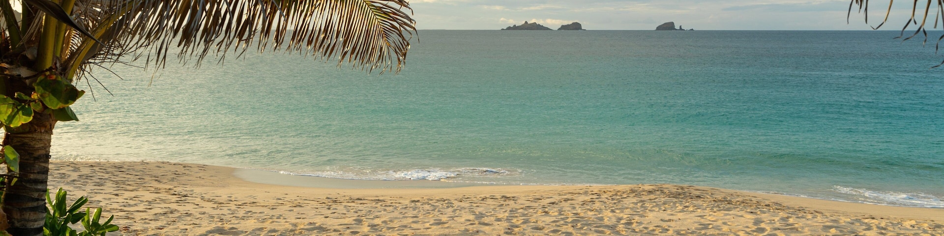 Flamands Beach which includes a sandy beach, tropical scenes and general coastal views