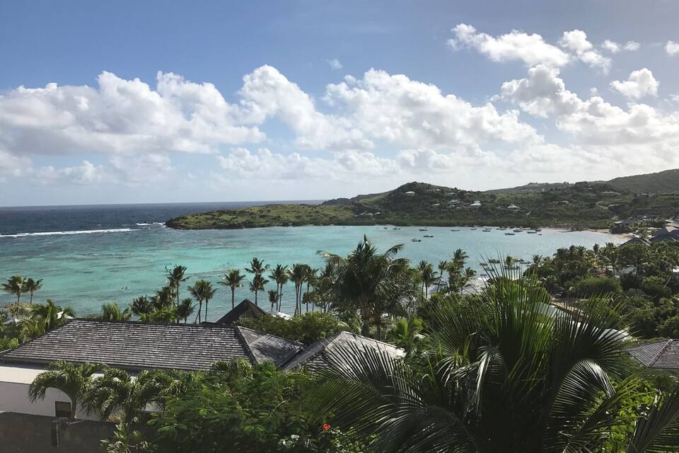 A coastal landscape with turquoise waters, palm trees, and a hilly background with buildings.