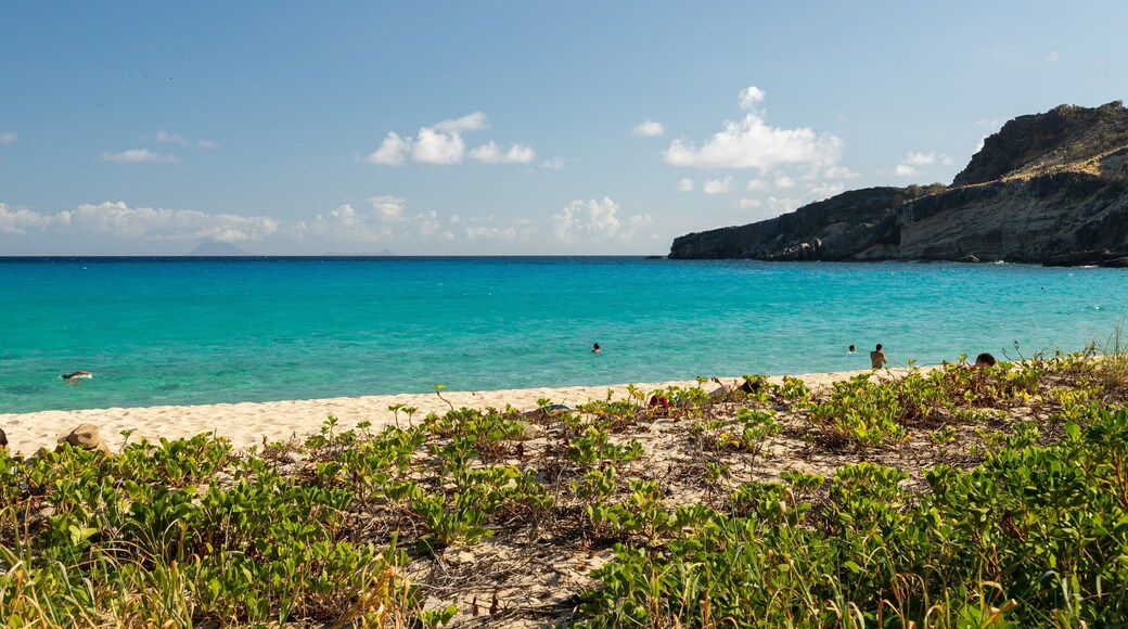 Gouverneur Beach which includes general coastal views and a sandy beach