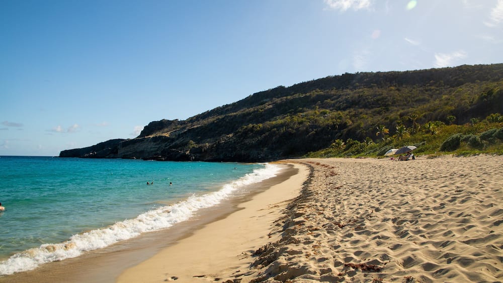Gouverneur Beach which includes general coastal views and a beach