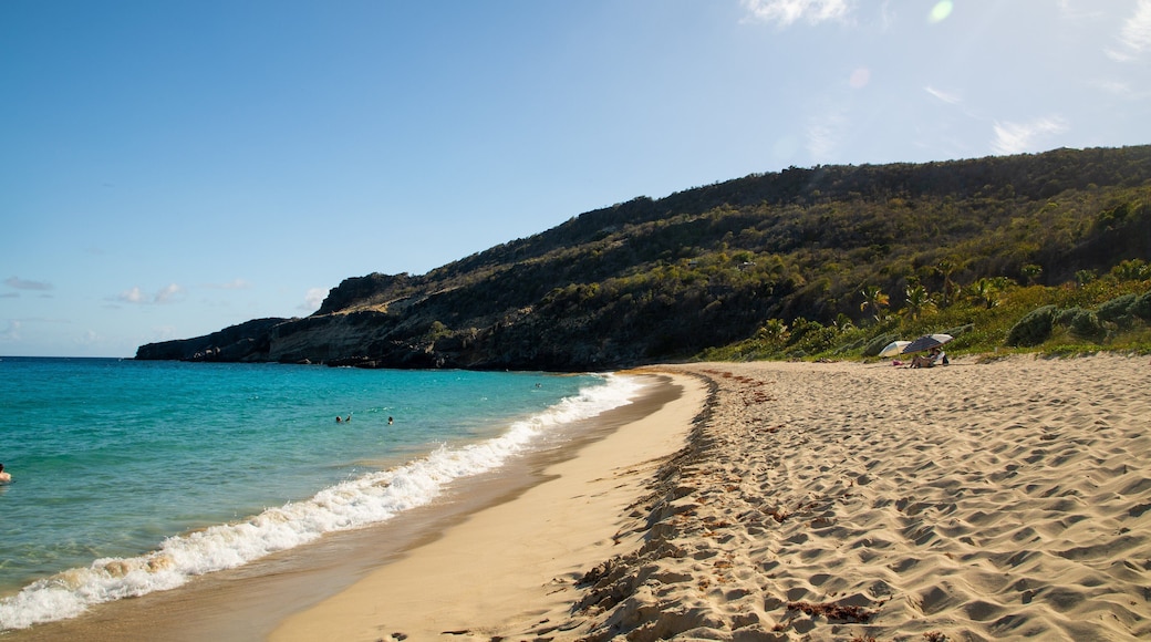 Gouverneur Beach which includes general coastal views and a beach