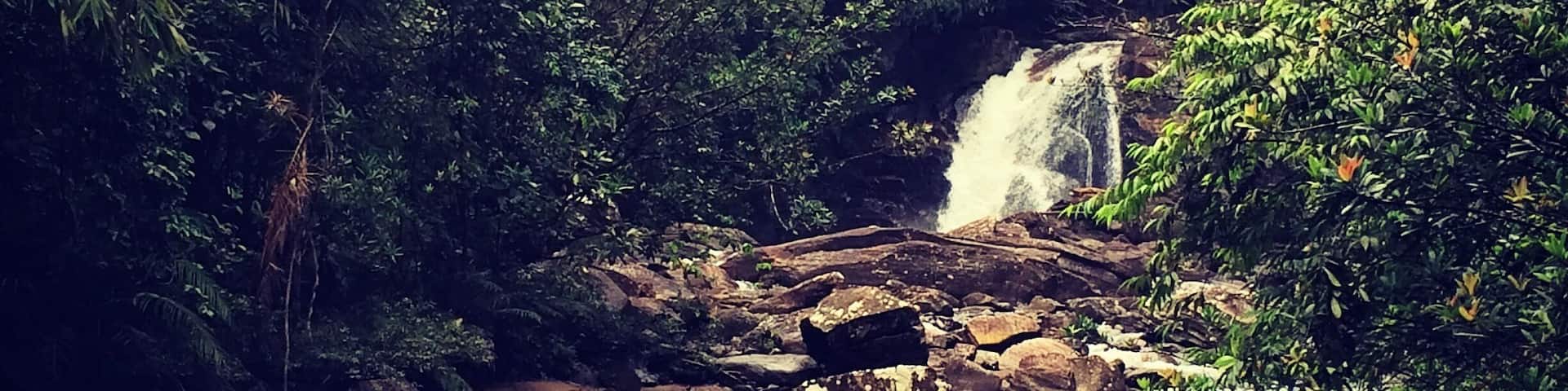 Loved our rainforest hike in Sinharaja Reserve. Saw lots of interesting animals and plants and ended at beautiful waterfall.