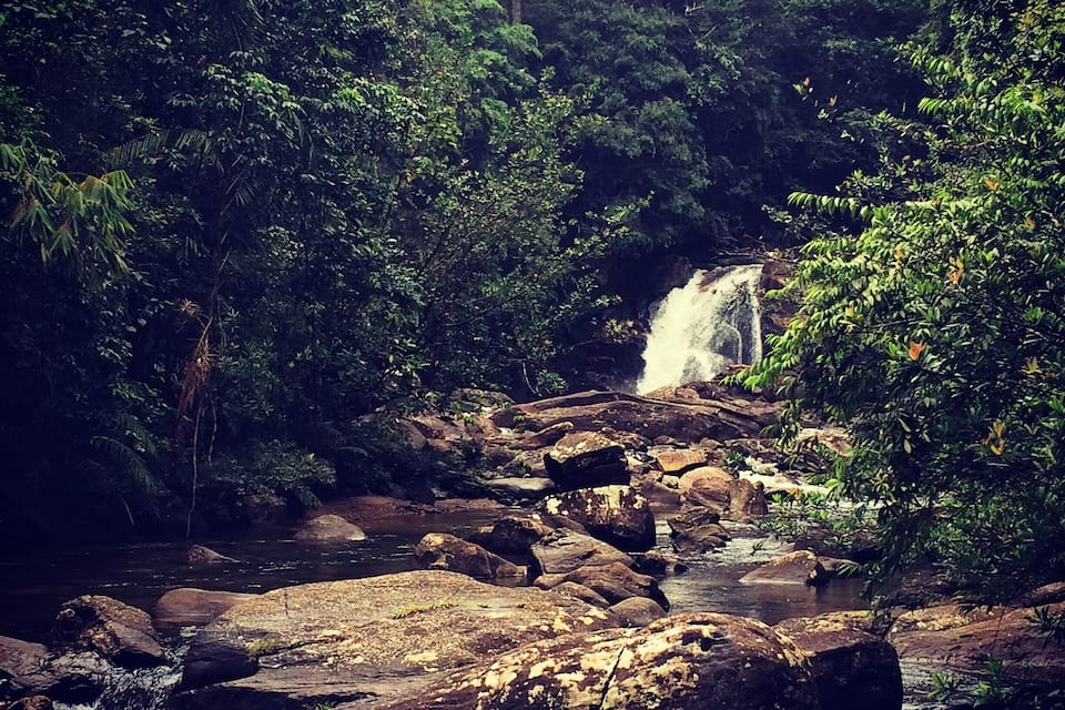 A waterfall cascading over rocks in a dense forest.