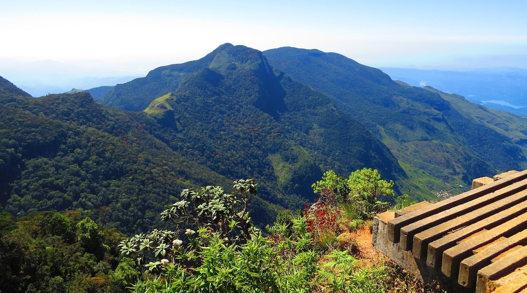 Horton Plains National Park Sri Lanka.
We got up at 4am to do a 9km hike to the top for the most fantastic views ever.
This view s only available for a few hours in the morning before the mist comes in.
I think It was called Worlds End
#National Park