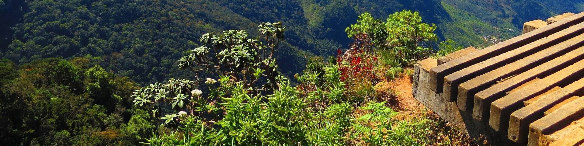 Horton Plains National Park Sri Lanka.
We got up at 4am to do a 9km hike to the top for the most fantastic views ever.
This view s only available for a few hours in the morning before the mist comes in.
I think It was called Worlds End
#National Park