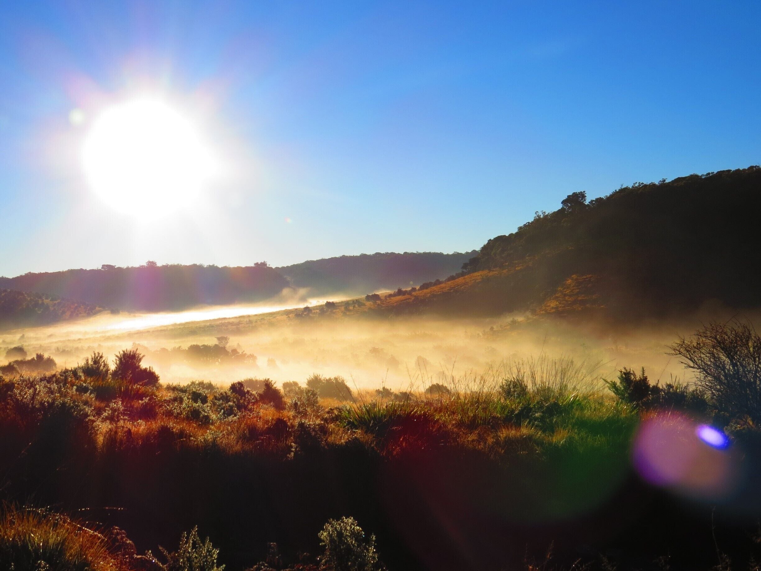 #National Park

Early morning 9KM hike to Worlds End, Horton Plains.