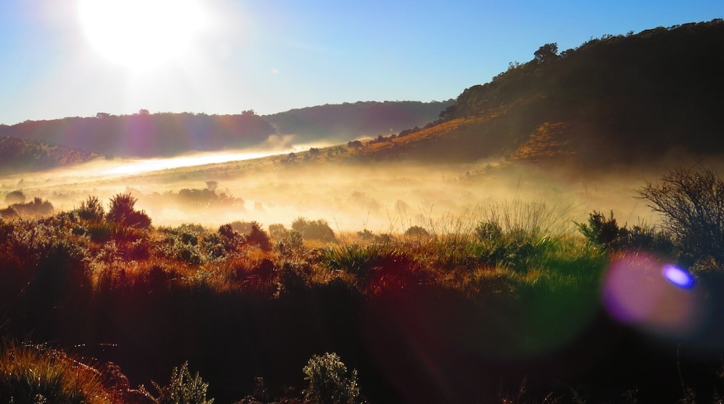 #National Park
Early morning 9KM hike to Worlds End, Horton Plains.