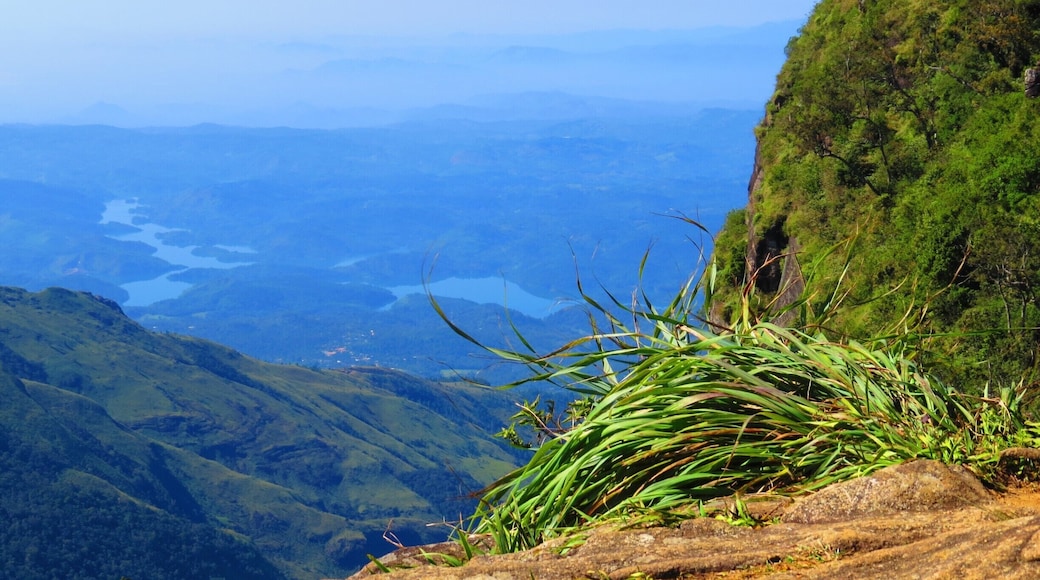 Early morning 9KM hike to Worlds End, Horton Plains.
Well worth getting up at 4am to get to venue, and hiking for three hours, fantastic views!
#National Park