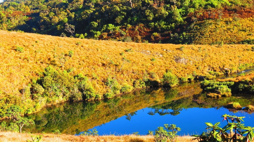 This was about 6am, when the park had just opened, beautiful colours everywhere.
The water was so still it looked like a pond.
Well worth the 9km hike!
#National Park