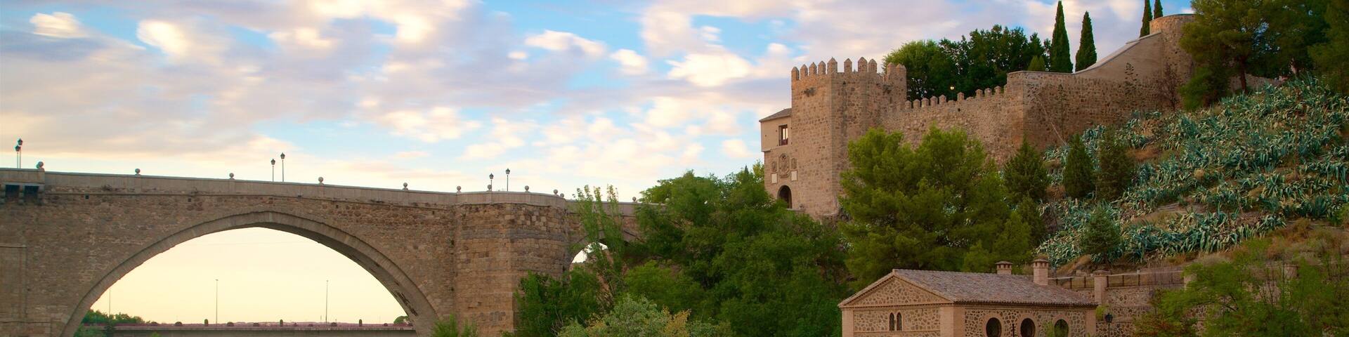 A stone bridge over a river, a castle, and lush greenery.
