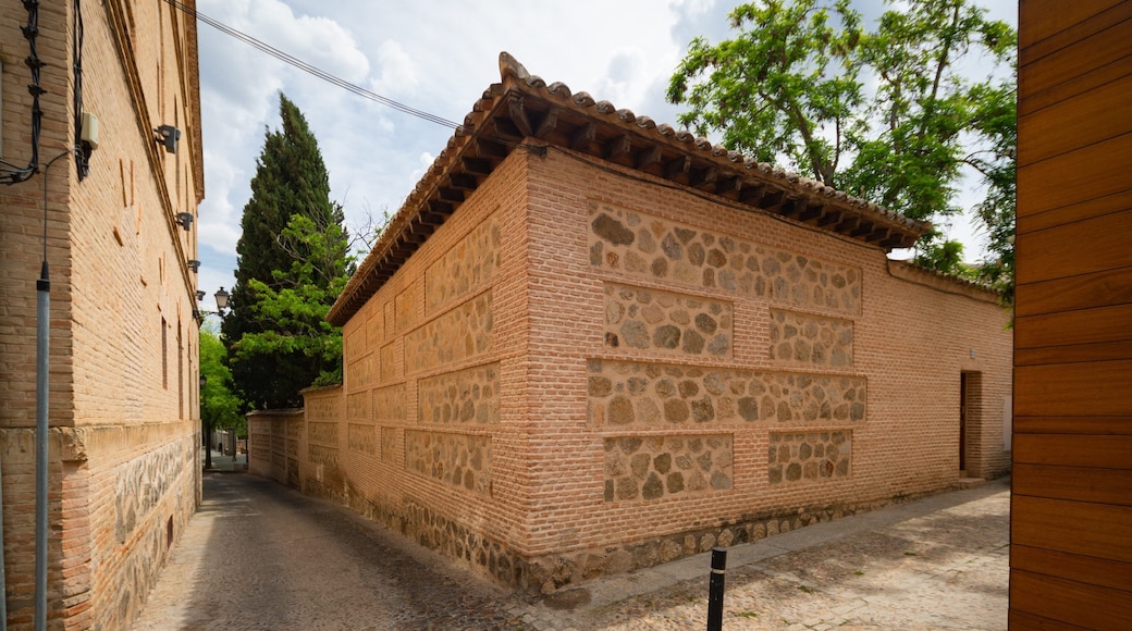 Victorio Macho Museum which includes heritage elements