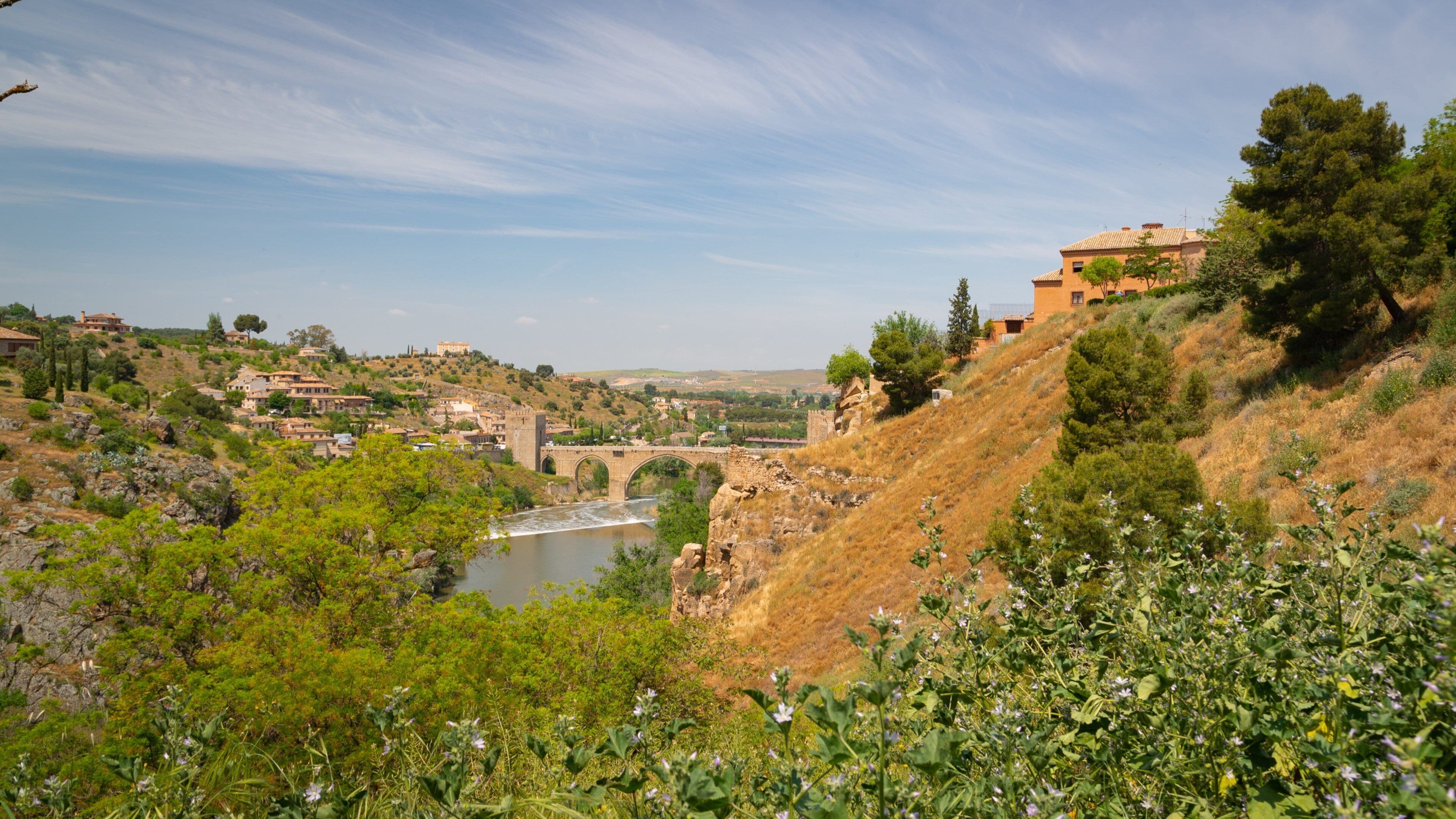 San Martin Bridge featuring landscape views and a river or creek