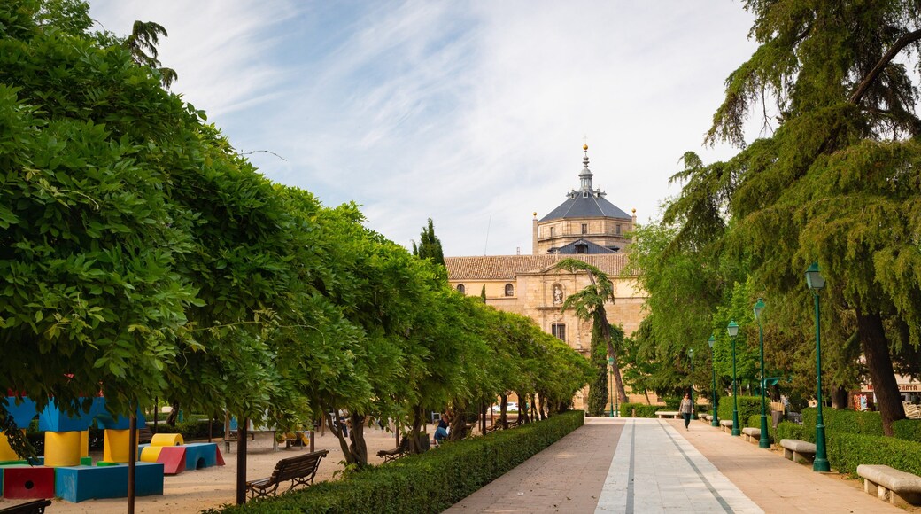 Hospital of Tavera Museum showing a garden