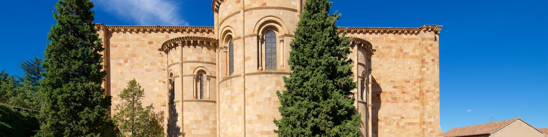 Basilica de San Vicente