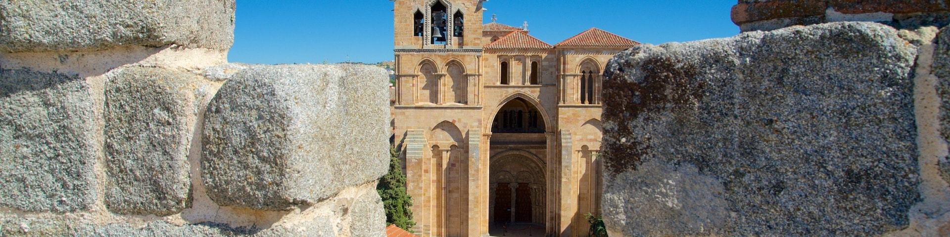 Basilica de San Vicente