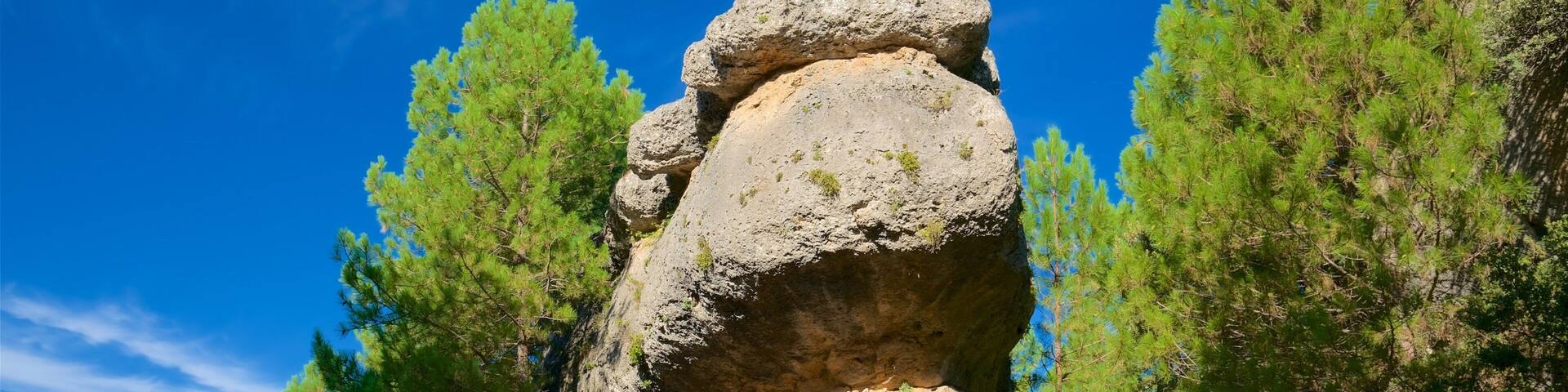 A large rock formation surrounded by pine trees.