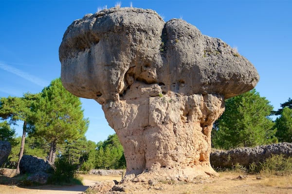 A large rock formation with a unique shape resembling a human head.