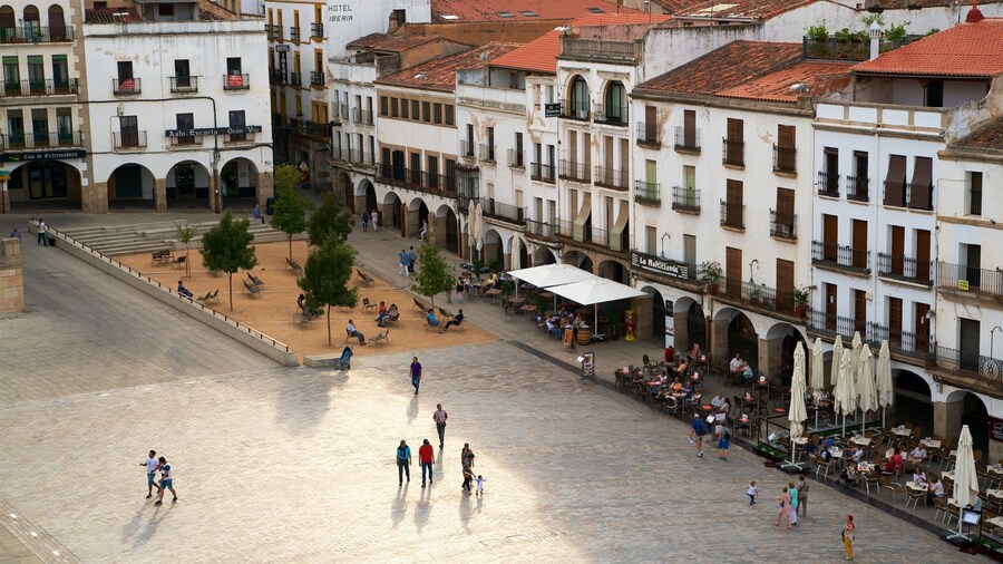 Plaza Mayor which includes a square or plaza